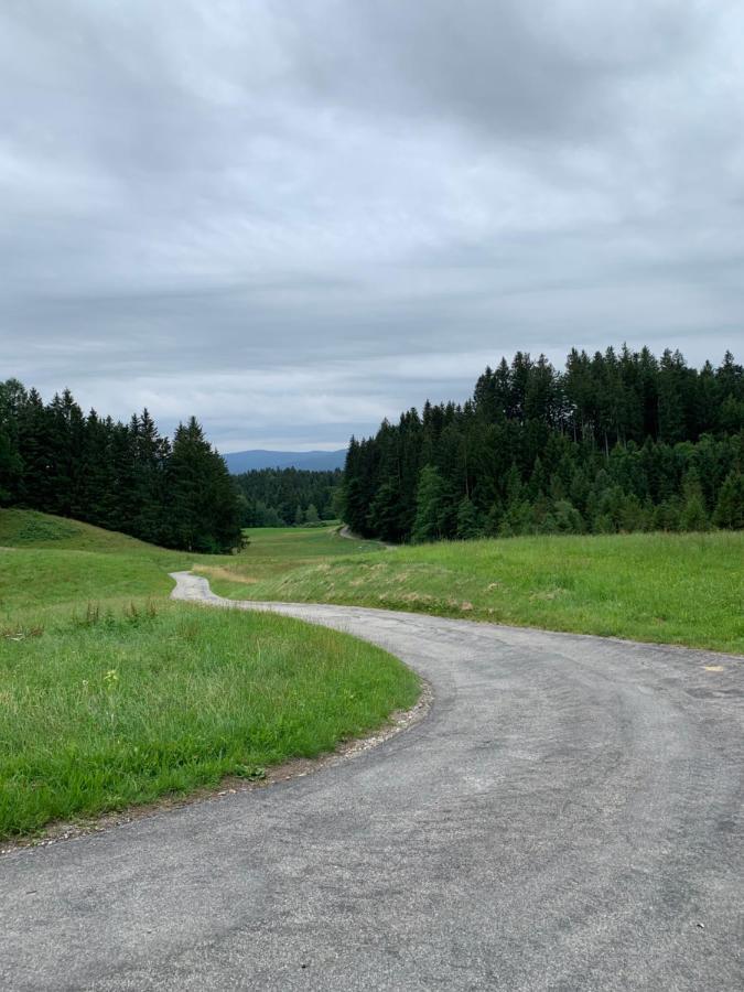 Apartman Artemis Bešeňová Eksteriør billede